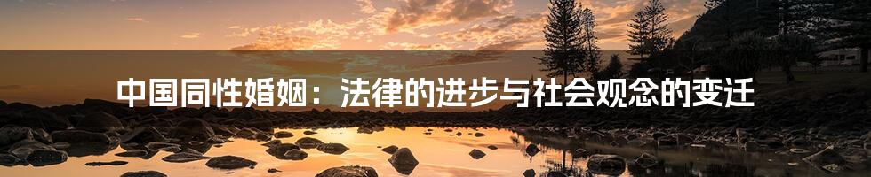 中国同性婚姻:法律的进步与社会观念的变迁