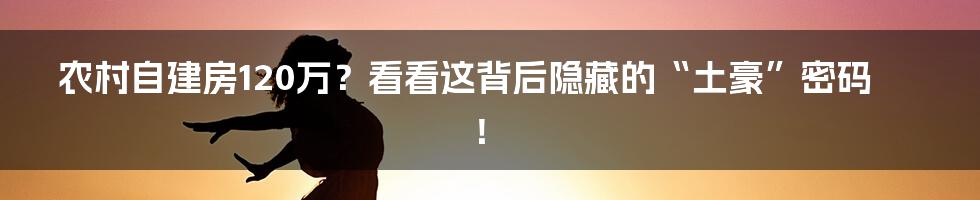 农村自建房120万?看看这背后隐藏的“土豪”密码!