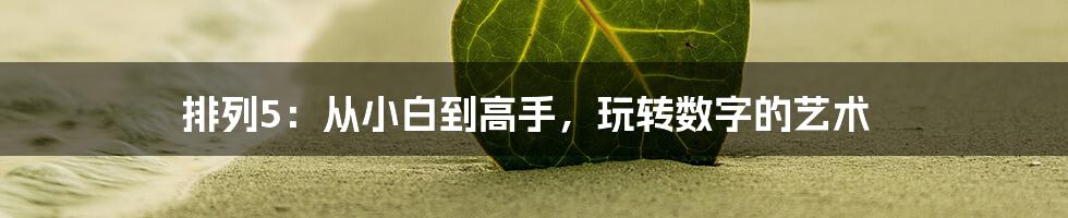 排列5:从小白到高手,玩转数字的艺术