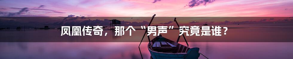 凤凰传奇,那个“男声”究竟是谁?