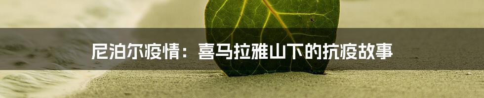 尼泊尔疫情:喜马拉雅山下的抗疫故事