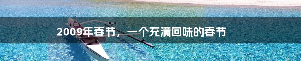 2009年春节,一个充满回味的春节