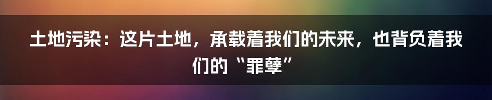 土地污染：这片土地，承载着我们的未来，也背负着我们的“罪孽”