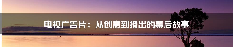 电视广告片:从创意到播出的幕后故事