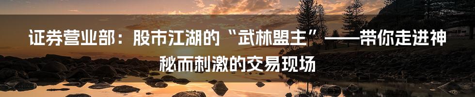 证券营业部:股市江湖的“武林盟主”——带你走进神秘而刺激的交易现场