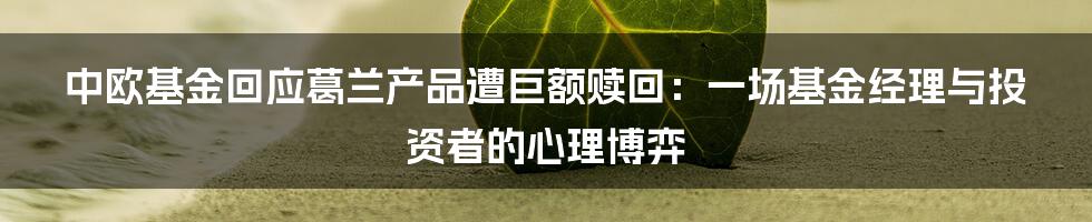 中欧基金回应葛兰产品遭巨额赎回：一场基金经理与投资者的心理博弈