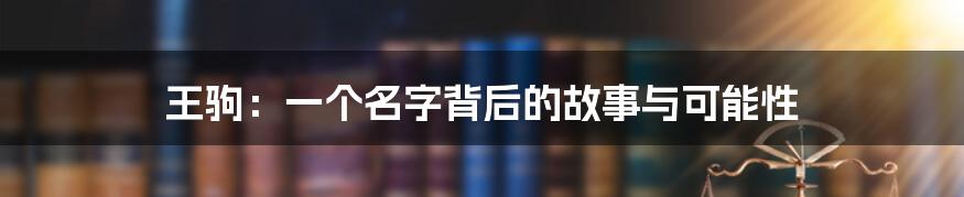 王驹:一个名字背后的故事与可能性