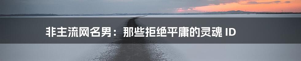 非主流网名男:那些拒绝平庸的灵魂 ID