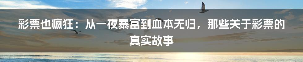 彩票也疯狂:从一夜暴富到血本无归,那些关于彩票的真实故事