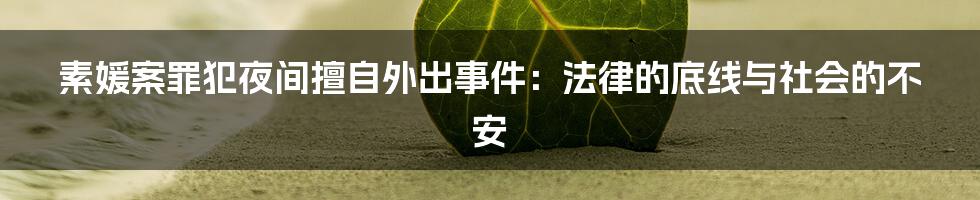 素媛案罪犯夜间擅自外出事件：法律的底线与社会的不安