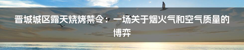 晋城城区露天烧烤禁令:一场关于烟火气和空气质量的博弈