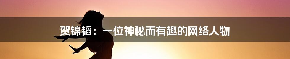 贺锦韬:一位神秘而有趣的网络人物