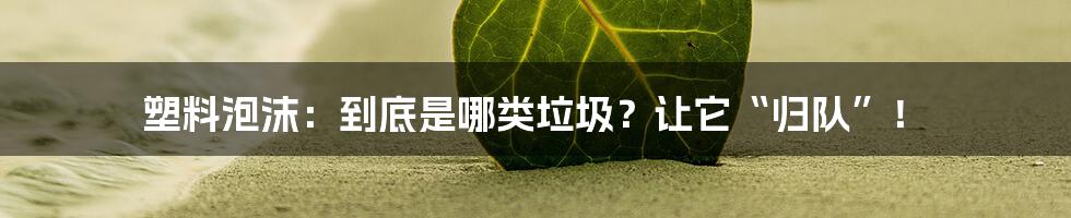 塑料泡沫：到底是哪类垃圾？让它“归队”！