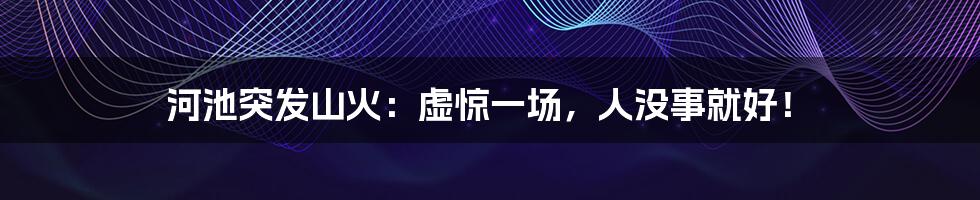 河池突发山火:虚惊一场,人没事就好!