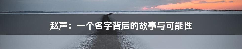 赵声:一个名字背后的故事与可能性