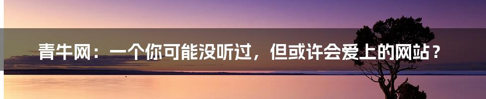 青牛网:一个你可能没听过,但或许会爱上的网站?