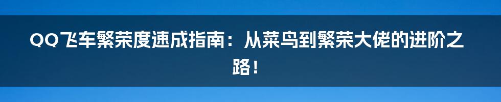 QQ飞车繁荣度速成指南:从菜鸟到繁荣大佬的进阶之路!