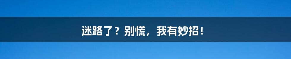 迷路了?别慌,我有妙招!