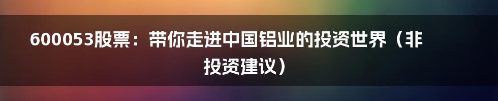 600053股票:带你走进中国铝业的投资世界(非投资建议)