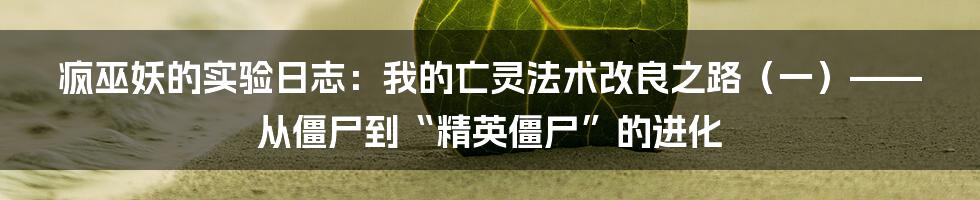 疯巫妖的实验日志:我的亡灵法术改良之路(一)——从僵尸到“精英僵尸”的进化