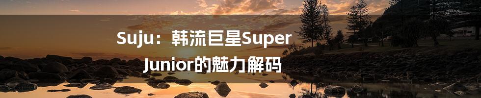 Suju:韩流巨星Super Junior的魅力解码