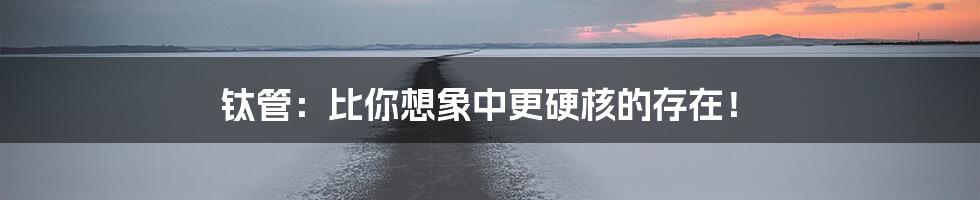 钛管:比你想象中更硬核的存在!