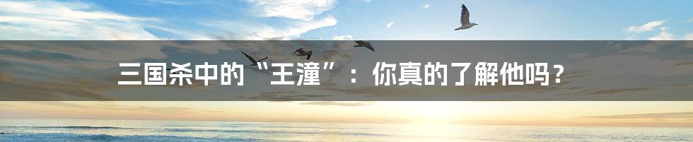 三国杀中的“王潼”:你真的了解他吗?