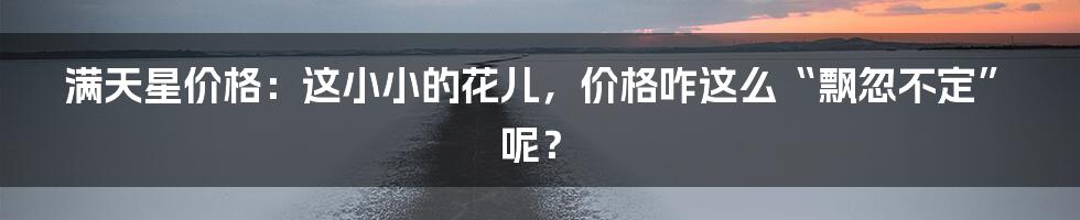满天星价格:这小小的花儿,价格咋这么“飘忽不定”呢?