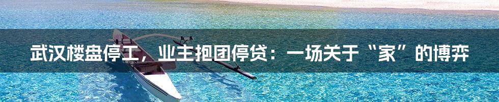 武汉楼盘停工，业主抱团停贷：一场关于“家”的博弈