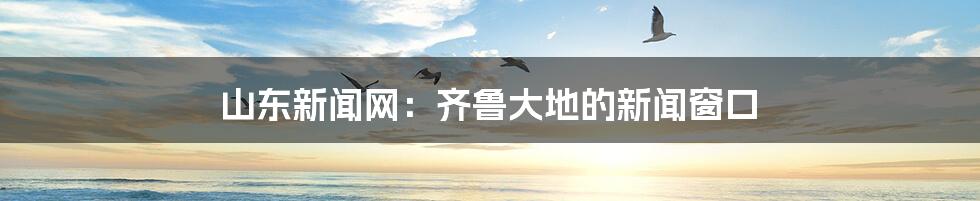 山东新闻网:齐鲁大地的新闻窗口