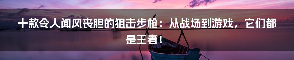 十款令人闻风丧胆的狙击步枪:从战场到游戏,它们都是王者!