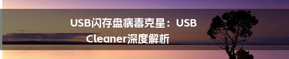 USB闪存盘病毒克星:USB Cleaner深度解析