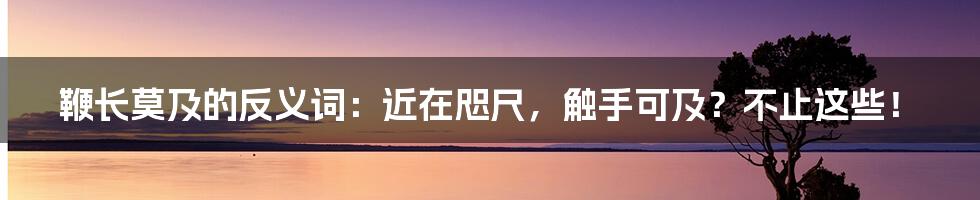 鞭长莫及的反义词:近在咫尺,触手可及?不止这些!