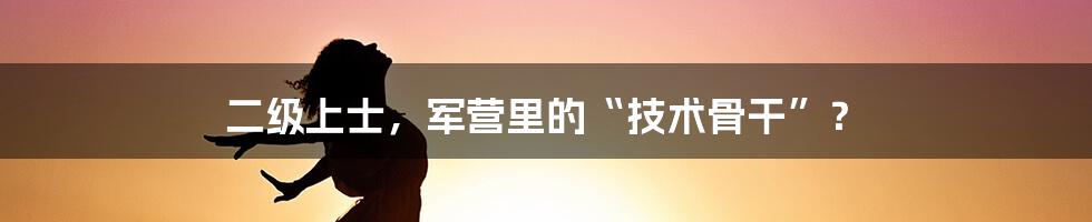 二级上士，军营里的“技术骨干”？