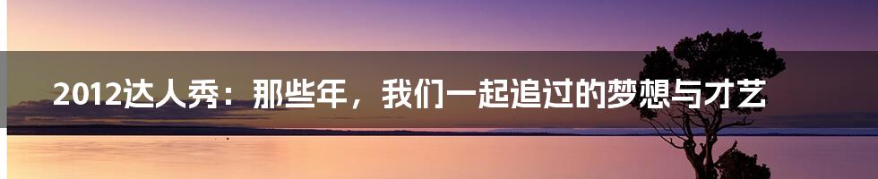 2012达人秀:那些年,我们一起追过的梦想与才艺