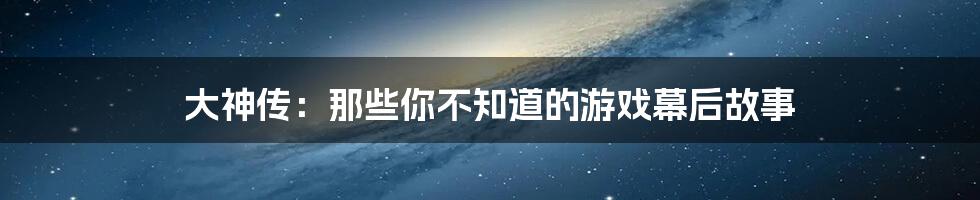 大神传:那些你不知道的游戏幕后故事