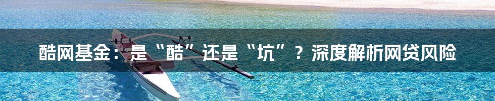 酷网基金:是“酷”还是“坑”?深度解析网贷风险