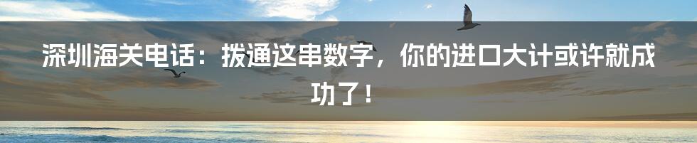 深圳海关电话:拨通这串数字,你的进口大计或许就成功了!