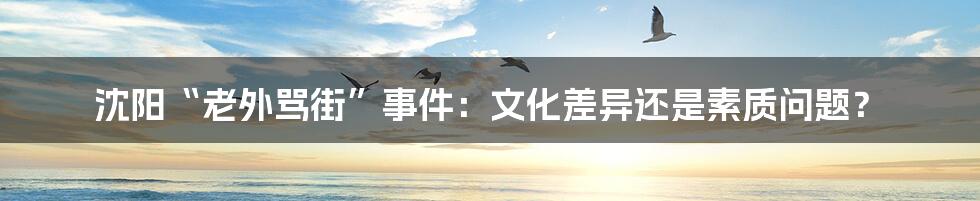 沈阳“老外骂街”事件:文化差异还是素质问题?