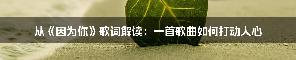 从《因为你》歌词解读:一首歌曲如何打动人心