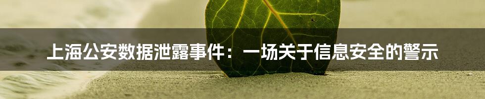 上海公安数据泄露事件:一场关于信息安全的警示