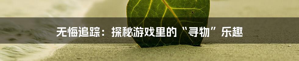无悔追踪:探秘游戏里的“寻物”乐趣