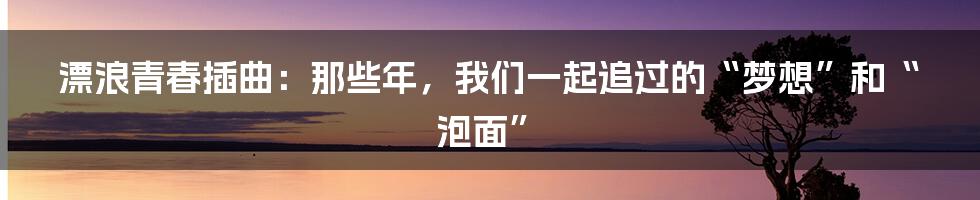 漂浪青春插曲：那些年，我们一起追过的“梦想”和“泡面”