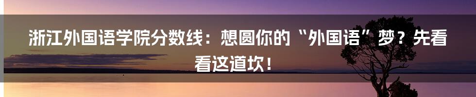 浙江外国语学院分数线:想圆你的“外国语”梦?先看看这道坎!