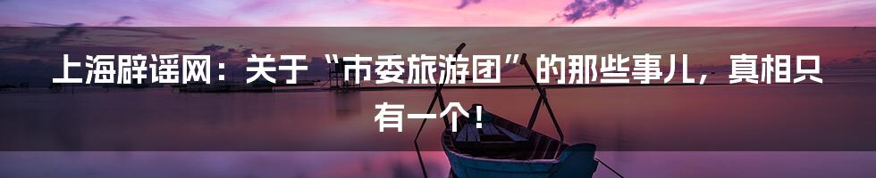 上海辟谣网:关于“市委旅游团”的那些事儿,真相只有一个!