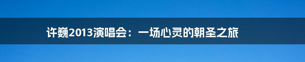 许巍2013演唱会：一场心灵的朝圣之旅