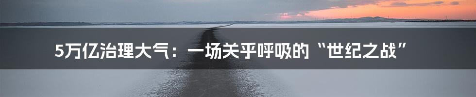 5万亿治理大气:一场关乎呼吸的“世纪之战”