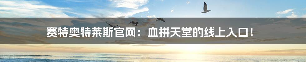 赛特奥特莱斯官网:血拼天堂的线上入口!