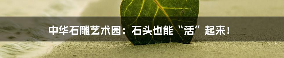 中华石雕艺术园:石头也能“活”起来!