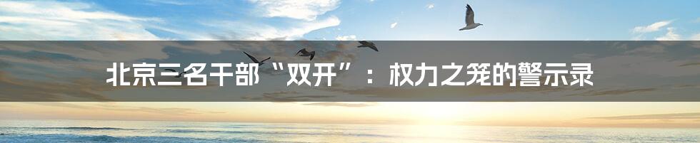 北京三名干部“双开”:权力之笼的警示录
